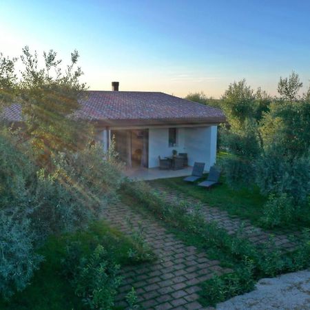 I Secolari Bed and Breakfast Sannicandro di Bari Εξωτερικό φωτογραφία