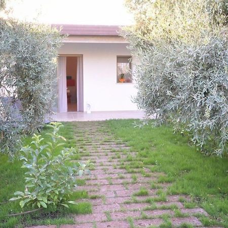 I Secolari Bed and Breakfast Sannicandro di Bari Εξωτερικό φωτογραφία