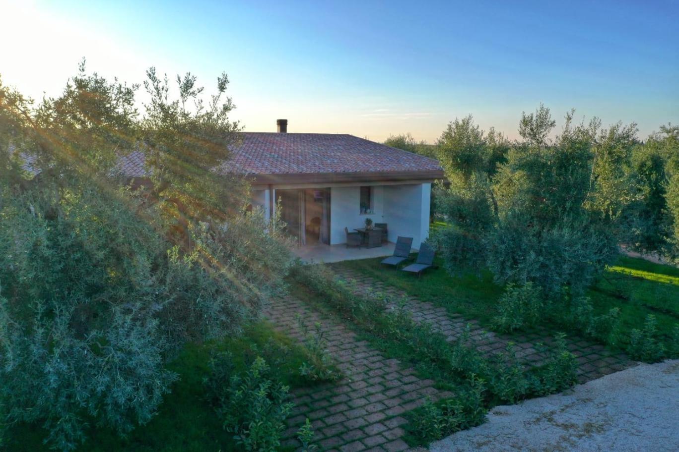 I Secolari Bed and Breakfast Sannicandro di Bari Εξωτερικό φωτογραφία