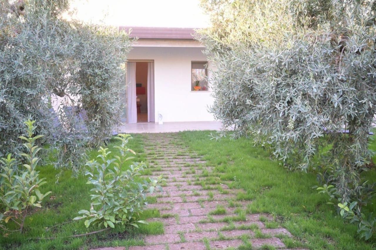 I Secolari Bed and Breakfast Sannicandro di Bari Εξωτερικό φωτογραφία